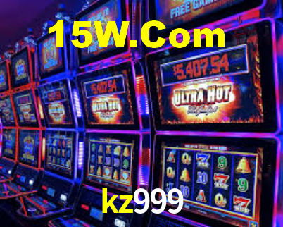 Premium Interface kz999